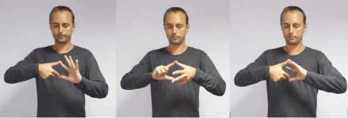 Упражнения пальцами для развития мозга. Пальцовки — упражнения для развития мозга. Для детей и взрослых