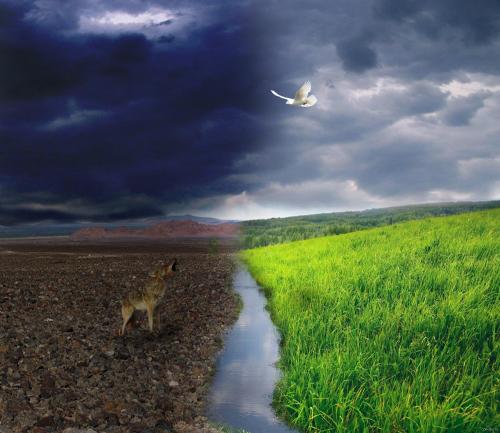 Добро и ЗЛО стих. Добро и зло