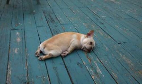 Слова которых нет в русском языке, но есть в английском. Слова, которых нет в английском языке