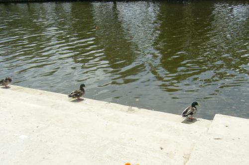 Белорусские слова которых нет в русском языке. Восемь белорусских слов, которые вас удивят.