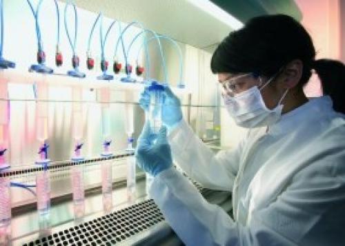 Биохимический анализ крови расшифровка у взрослых норма в таблице. Расшифровка биохимического анализа крови