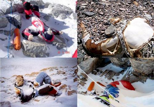 Интересные факты, которые удивят и шокируют вас