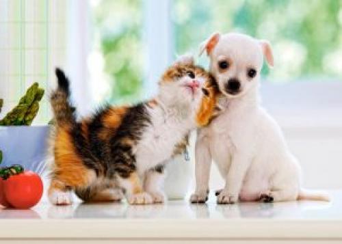 Слова которых нет в русском языке, но есть в английском. Слова, которых нет в английском языке