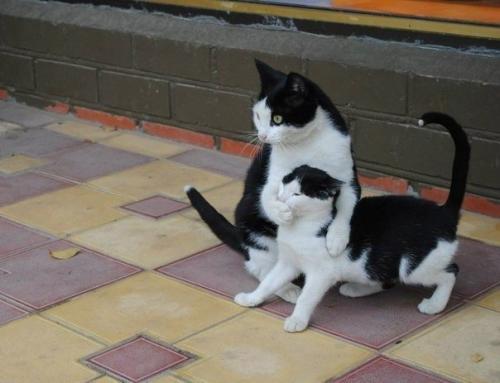 Никому ничего не рассказывай. Научитесь никому, ничего не рассказывать…