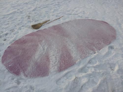 Белорусские слова которых нет в русском языке. Восемь белорусских слов, которые вас удивят.