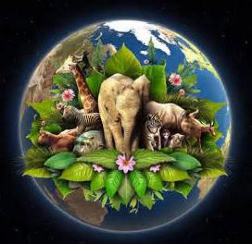 Почему планету Земля назвали Землей. Почему Землю назвали Землей? История происхождения имени нашей планеты