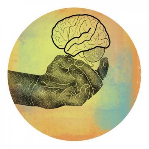 Упражнения пальцами для развития мозга. Пальцовки — упражнения для развития мозга. Для детей и взрослых