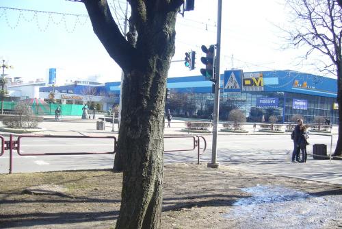 Белорусские слова которых нет в русском языке. Восемь белорусских слов, которые вас удивят.