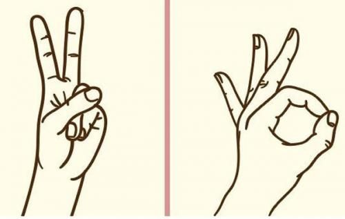 Тренировка памяти и мозга. Упражнения для головного мозга