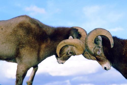 Не доказывай Никому ничего. Никому ничего не доказывайте. Никогда