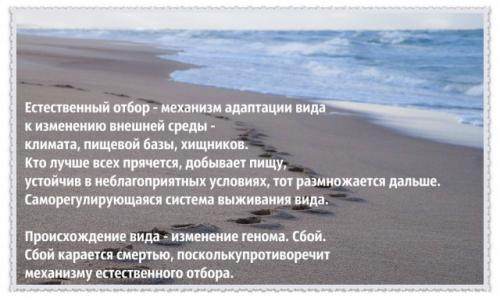 Как появился первый человек на Земле. Чего не знал Дарвин в 1859 году об особенностях появления новых видов на Земле