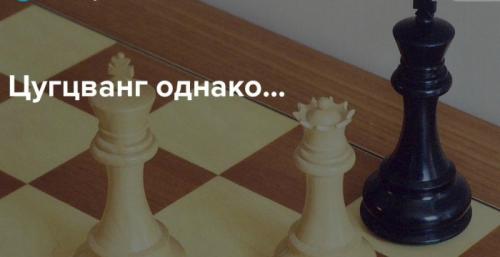 Значение слова цугцванг. Цугцванг 18 Значение слова цугцванг. Цугцванг 18