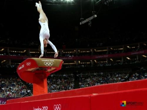 История появления и развития спортивной гимнастики. История развития гимнастики в Европе 04 История появления и развития спортивной гимнастики. История развития гимнастики в Европе 04