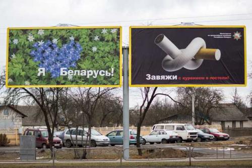 Интересные факты о сельском хозяйстве Беларуси. Интересные факты о Белоруссии