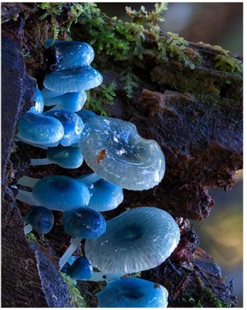 Источник света солнце. Что такое свет? Источники света 01