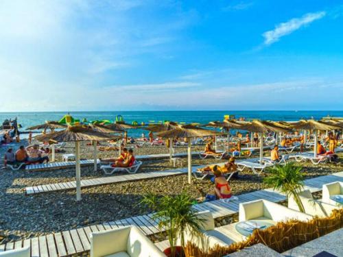 Интересные факты о Сочи. 8 интересных фактов о Сочи