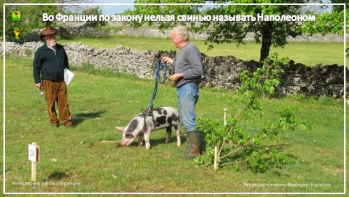 Интересные факты о Франции. Сильвупле. Забавные факты о Франции