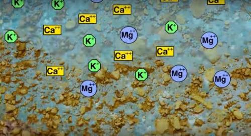 Интересное о почве для детей. О почве большинство знает только то что на ней растут растения и что в Украине много чернозёма. Но если копнуть глубже, то можно узнать то что изменит твоё представление о понятии чёрное золото.