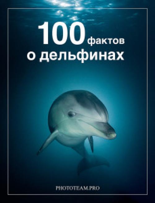 Дельфины факты. 10 интересных фактов о дельфинах (10 фото) 12