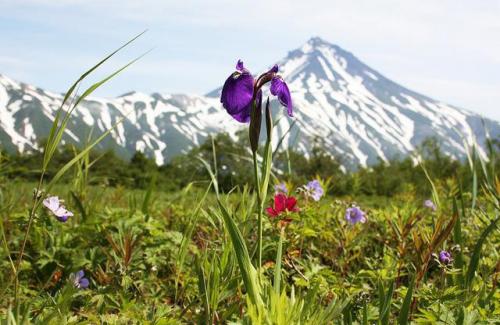 Факты о Камчатке. История 02