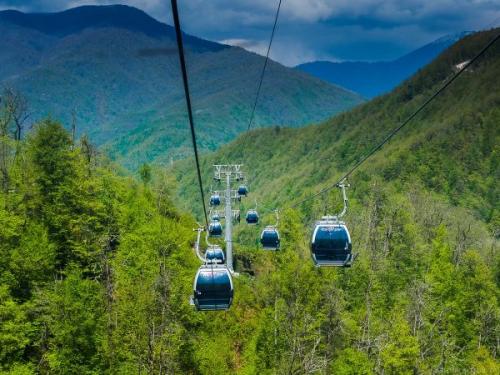 Интересные факты о Сочи. 8 интересных фактов о Сочи