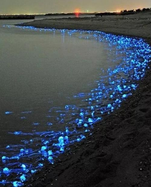 Источник света солнце. Что такое свет? Источники света 03