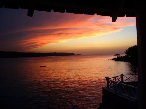 Ямайка факты. 08