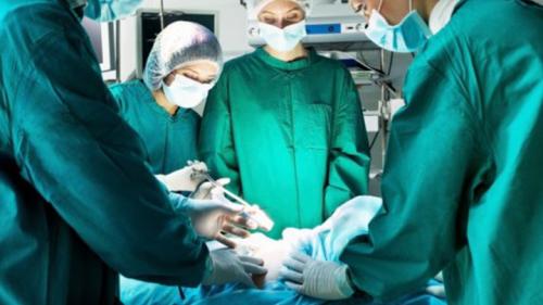 Алтайский край интересные факты. Самая длинная река и самый древний памятник: интересно об Алтайском крае 11