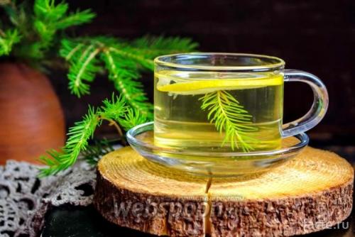 Сообщение о лесе. Интересное о лесах