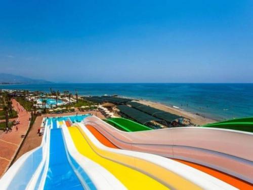 Интересные факты о Сочи. 8 интересных фактов о Сочи