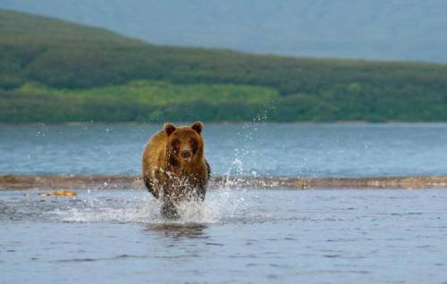 Факты о Камчатке. История 01