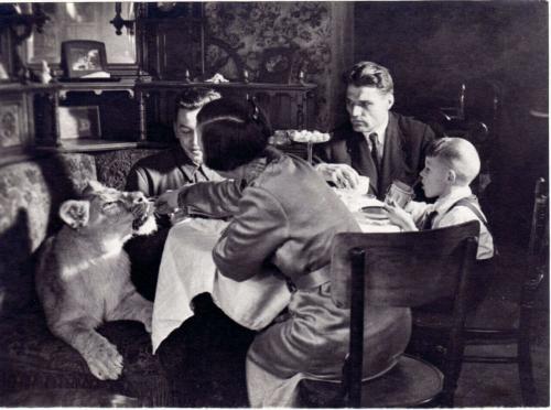 Пять фактов о московском зоопарке. Московский зоопарк