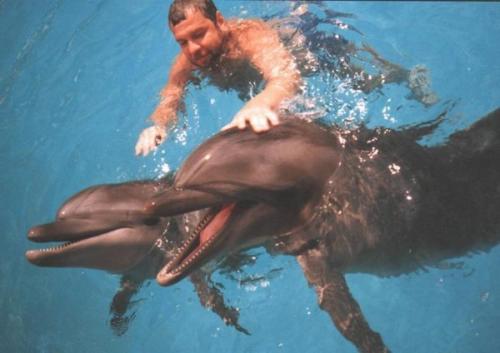 Дельфины факты. 10 интересных фактов о дельфинах (10 фото) 29