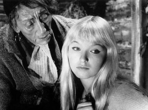 Сыновья Владимира высоцкого. Высоцкий, Аркадий Владимирович 15