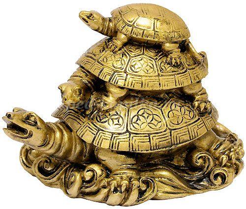 Интересные факты о черепахах для детей. 10 интересных фактов о черепахах. 10