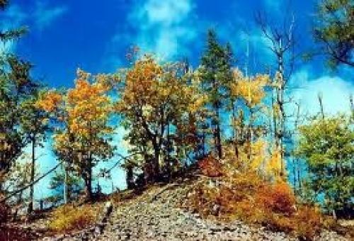 Приморский край природа. Природа Приморья