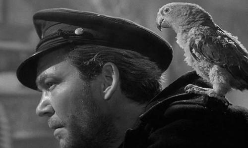 Интересные факты о попугаях для детей. Интересные факты о попугаях + Видео