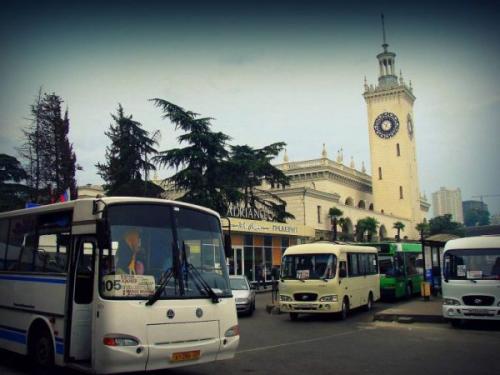 Интересные факты о Сочи. 8 интересных фактов о Сочи