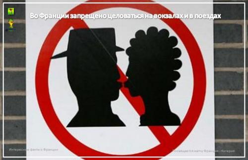 Интересные факты о Франции. Сильвупле. Забавные факты о Франции