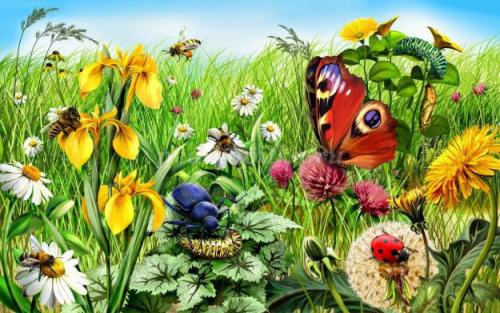 Интересные факты из жизни насекомых. 25 невероятных фактов из жизни насекомых 01