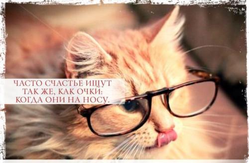 Интересные посты про очки. Цитаты про очки
