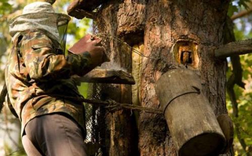 Интересные факты о республике Башкортостан. 10 самых интересных фактов об Уфе и Башкирии