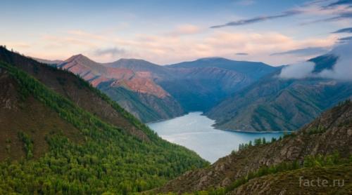 Сообщение о лесе. Интересное о лесах