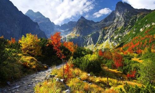 Интересные факты о Сочи. 8 интересных фактов о Сочи