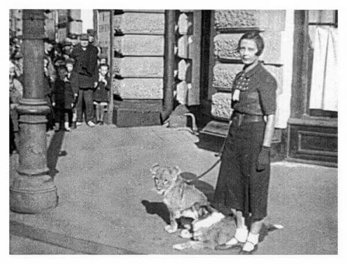 Пять фактов о московском зоопарке. Московский зоопарк