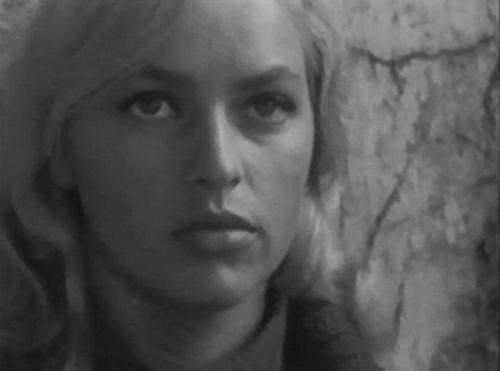 20 фактов из детства и юности Владимира семеновича Высоцкого. Интересные факты о Высоцком 14