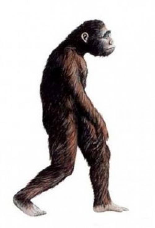 Начало истории человечества. Сообщение на тему: «Страницы всемирной истории. Начало истории человечества . Первобытный мир».