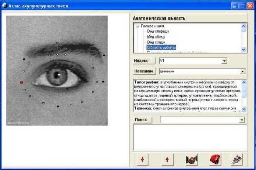Атлас акупунктурных точек pdf. Программа Атлас акупунктурных точек