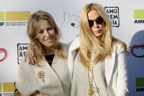 Высокий лоб признак аристократии. Все ли дворяне обладали «породистыми» лицами