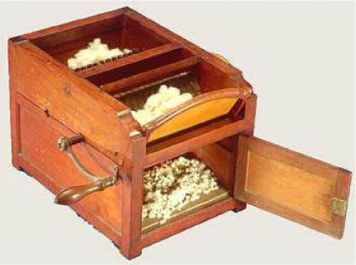 Интересные факты о хлопке. Факты о хлопке 02 Интересные факты о хлопке. Факты о хлопке 02